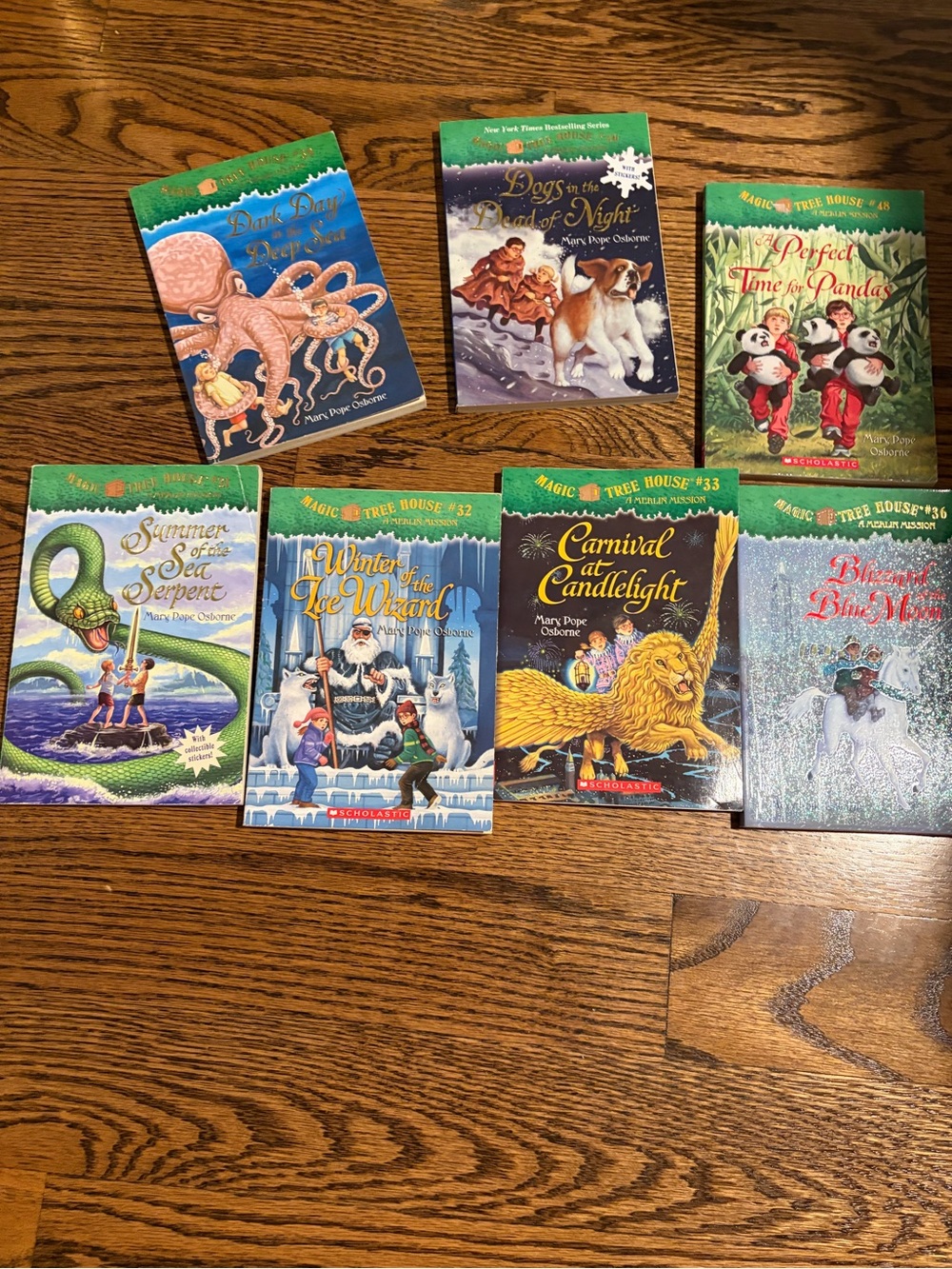 35+ Magic Tree House Book Stack Children's Chapter Books - Picture 3 of 6